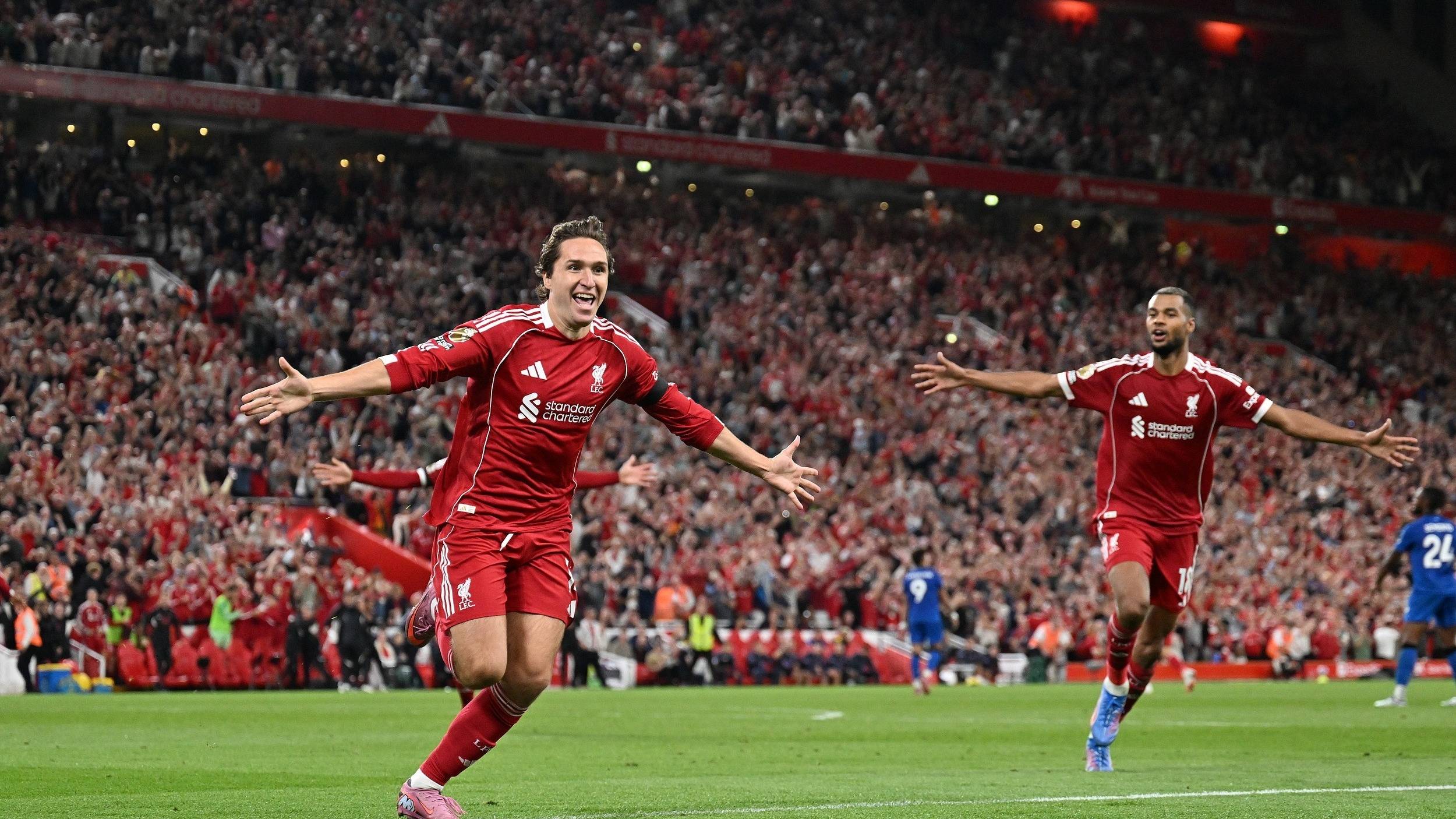 很可能做出 很可能做出